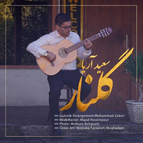 دانلود آهنگ سعید آریا گلنار